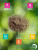 костная-2 костная-2